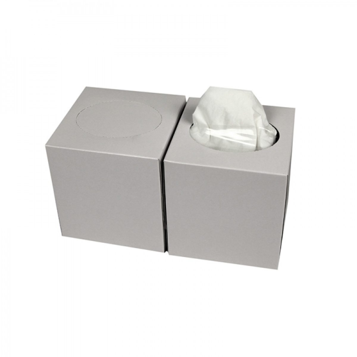 Facial Tissue Cube 21x20cm 2-laags Cellulose 90 vel 30 stuks