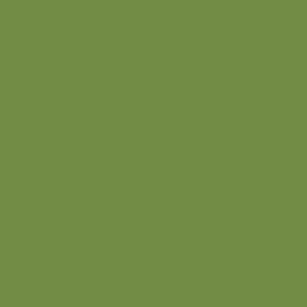 188397 placemats groen