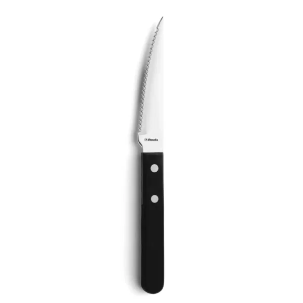 Amefa Steakmes 7000 Steak 21 cm Kunststof-rvs Zilver 12 stuks